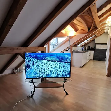 Baltmannsweiler Chalet Style Top Floor Apartment No Smoking Allmannsweiler